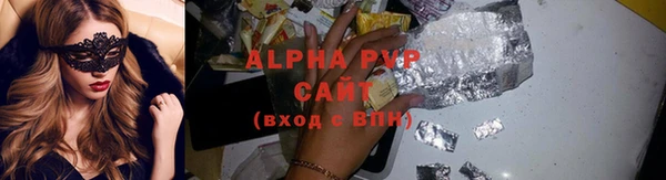 СК Вязьма