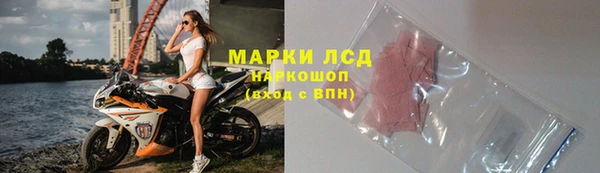 СК Вязьма