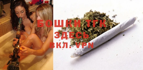 хмурый Вяземский